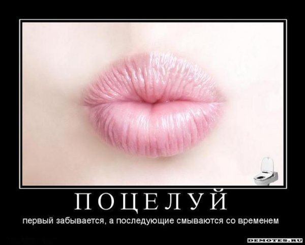 Поцелуй демотиватор