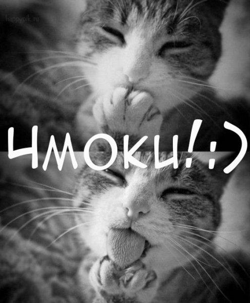 Целую картинки прикольные