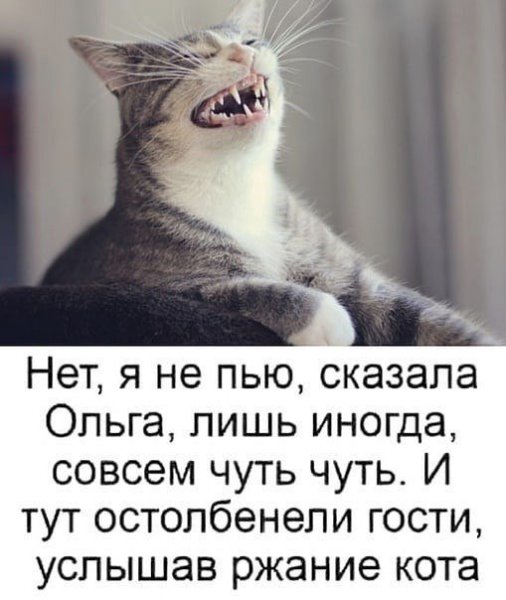Анекдоты про Ольгу прикольные