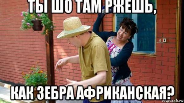 Скотиняка Сваты