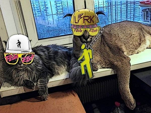 Большой русский кот