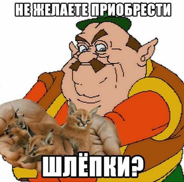 Большой Шлепа мемы