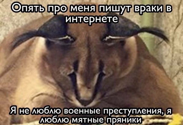 Шлёпа и военные преступления мемы