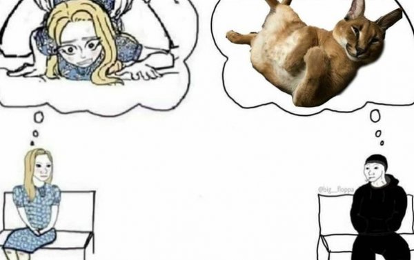 Шлепа Двач