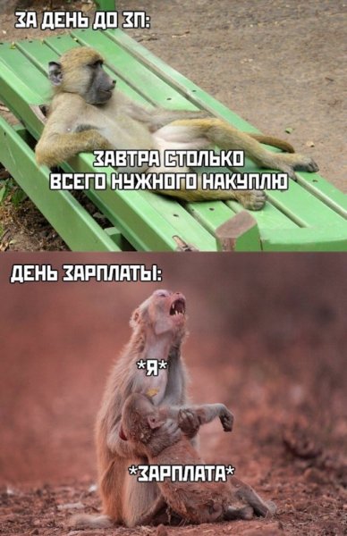 День зарплаты