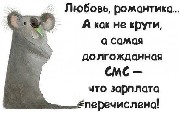 Смешные фразы про зарплату