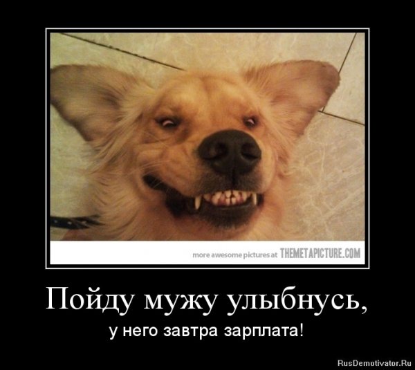 Приколы про зарплату