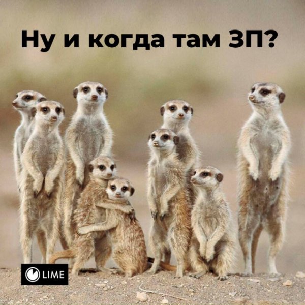 Жду зарплату