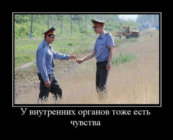 Матершинные демотиваторы