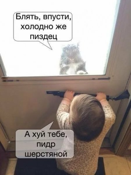 Смешные картинки с матом