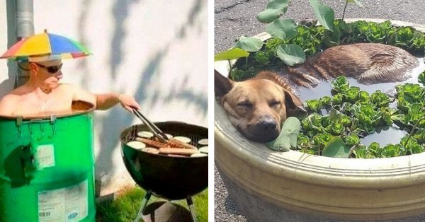 Юмор про жаркое лето