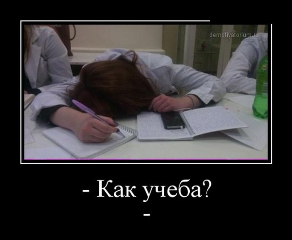Демотиваторы про учебу