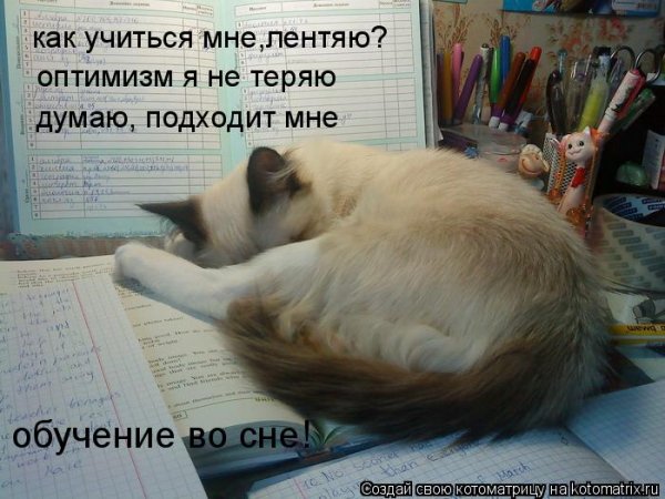 Шутки про учебу