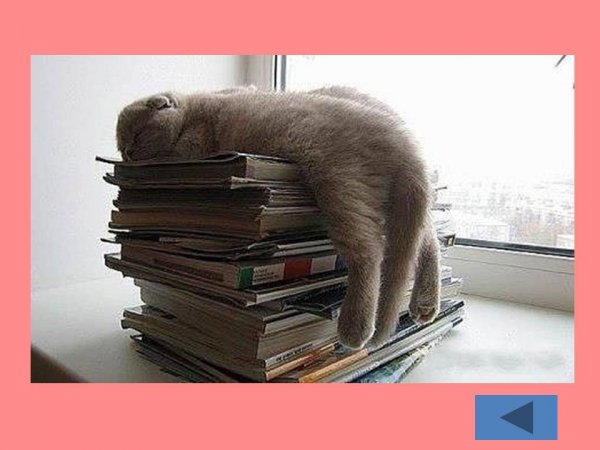 Приколы про учебу