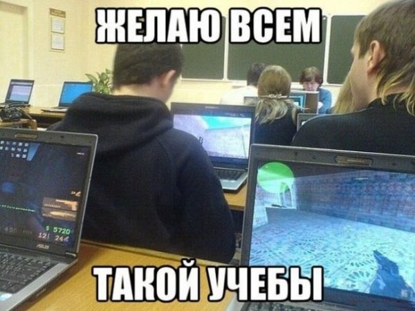 Шутки про учебу