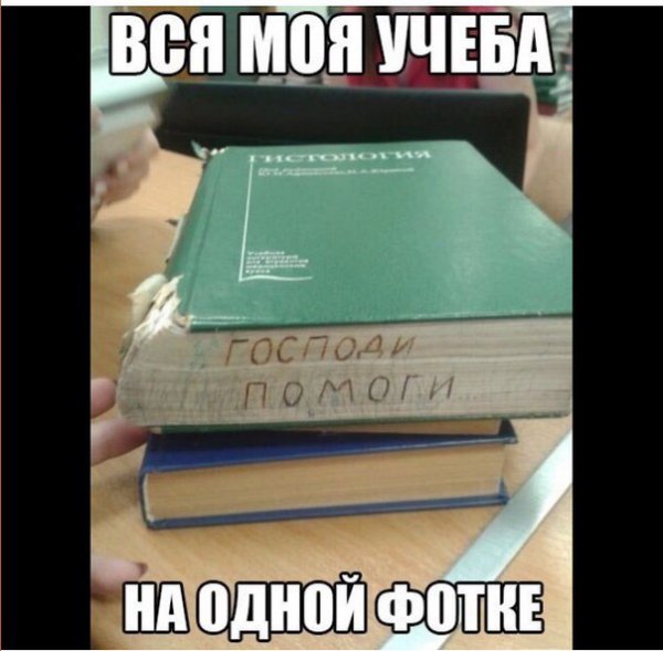 Приколы про учебу в школе