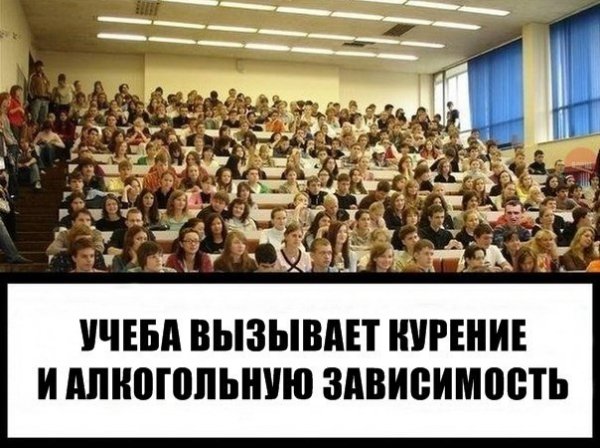 Приколы про учебу