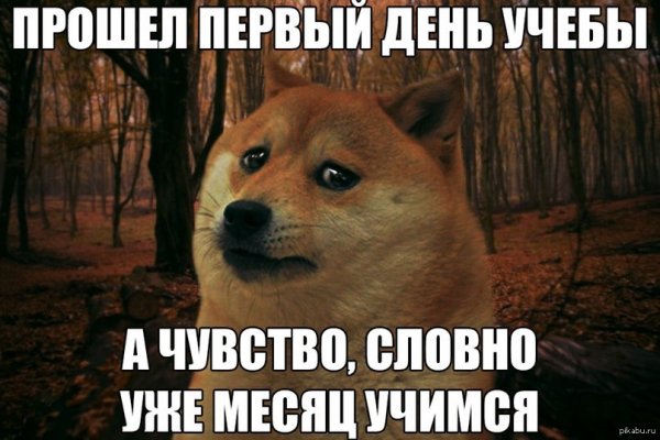 Первый день учебы приколы