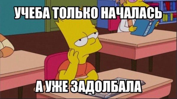 Учеба началась