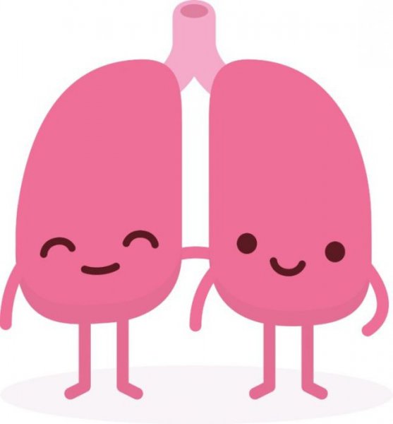 Легкие ребенка