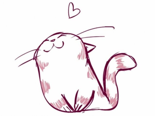 Рисунки для срисовки лёгкие котики