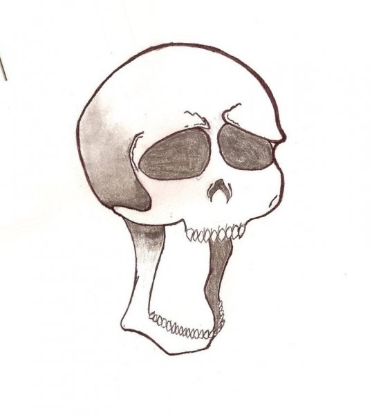Картинки для срисовки карандашом черепа