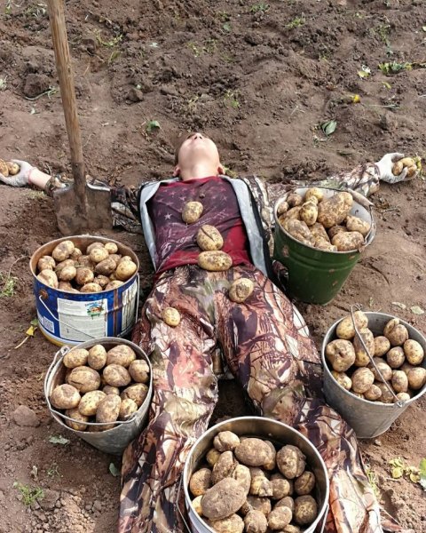 Праздник картошки