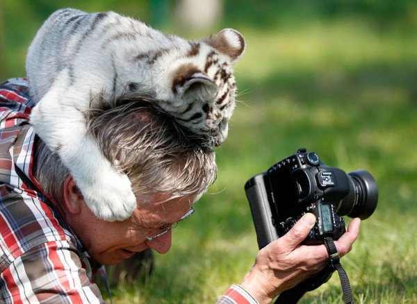 Энди Хоу - британский фотограф дикой природы
