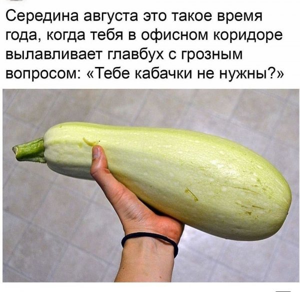 Смешной кабачок