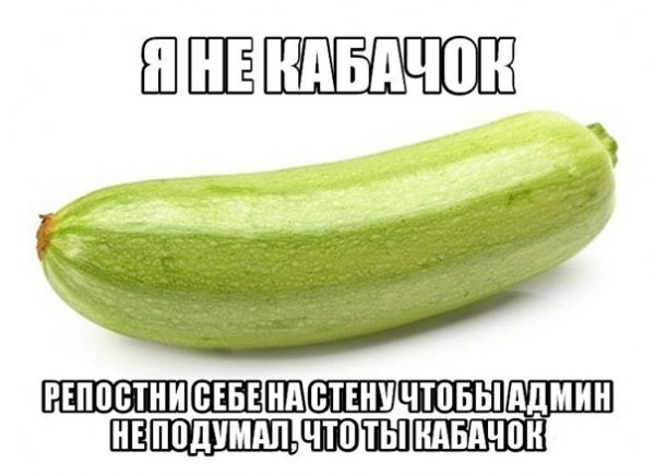 Смешной кабачок