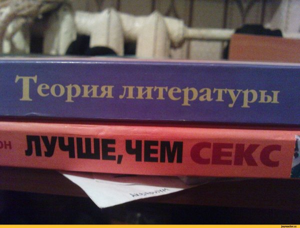 Мемы по теории литературы