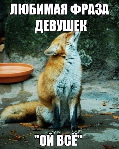 Нет я не обиделась