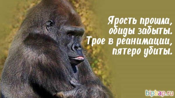 Обиженная обезьянка с надписью