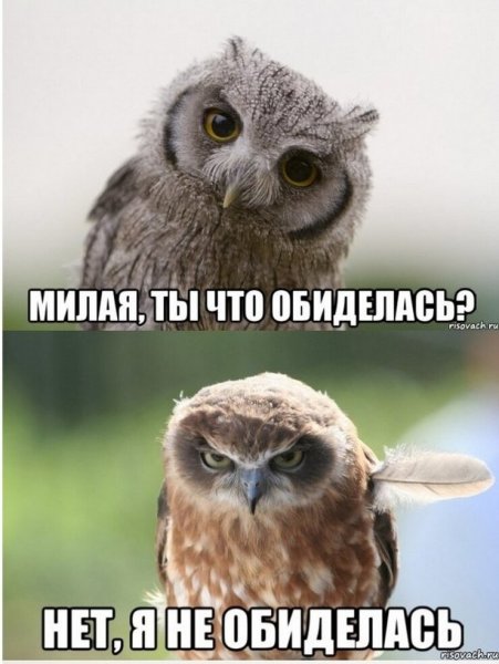 Я обиделась