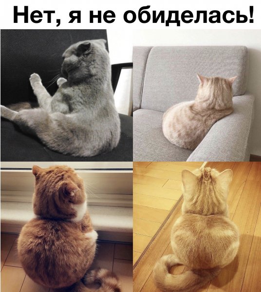 Обиделась нет