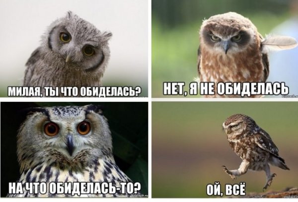 Милая ты что обиделась Совы