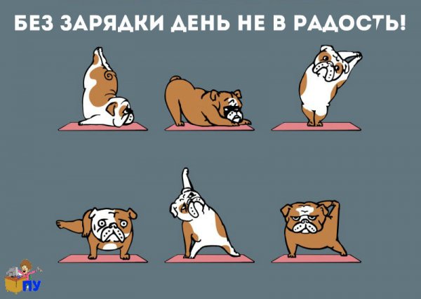 Зарядка картинки прикольные