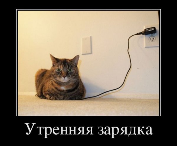 Смешная зарядка