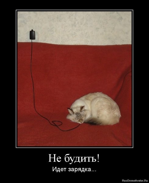 Зарядка юмор
