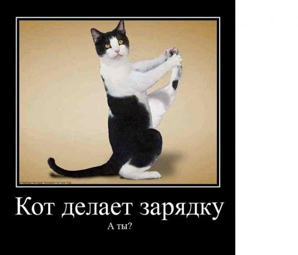 Зарядка прикол