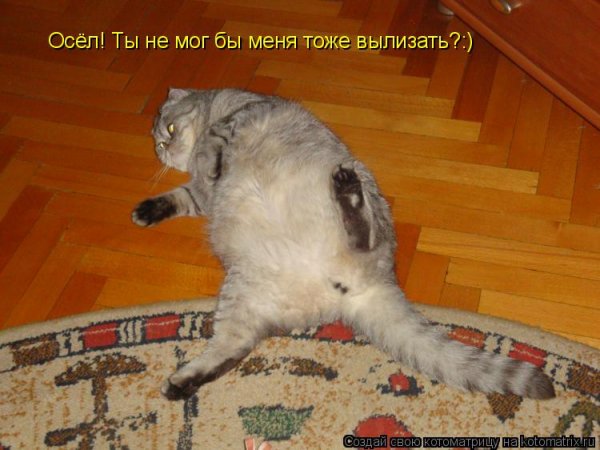 Зарядка прикол