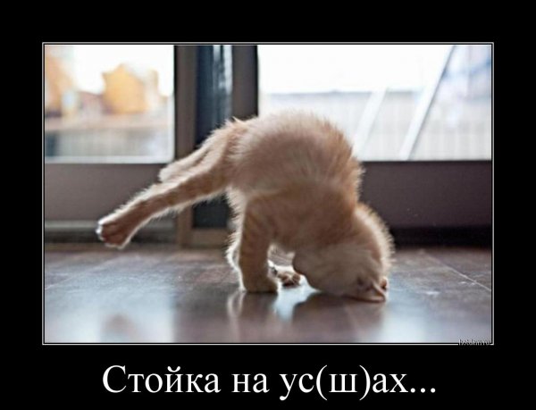 Демотиваторы про зарядку