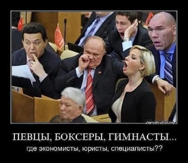 Дебилы в Думе