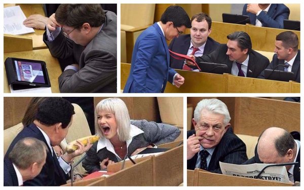 Депутаты Госдумы РФ фото
