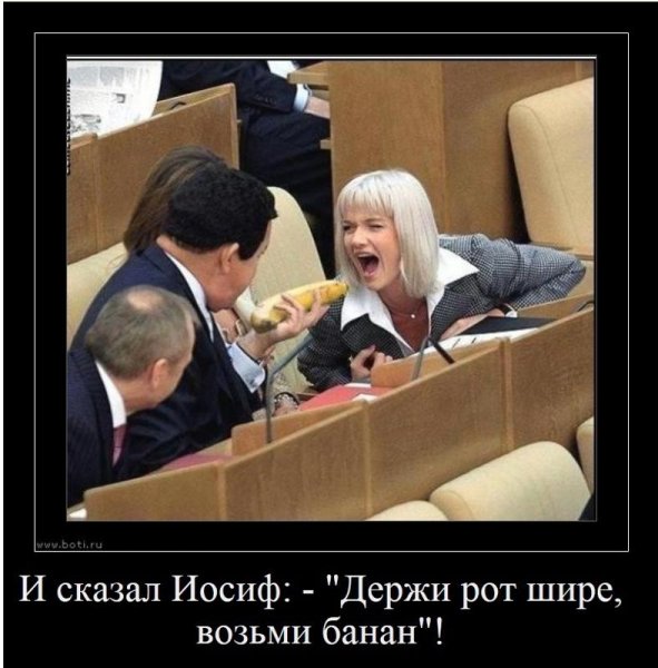 Депутаты демотиваторы