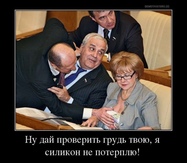 Демотиваторы про Думу
