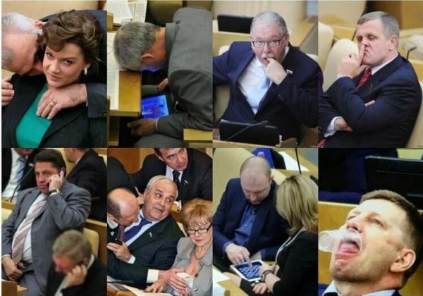 Депутаты в Думе приколы