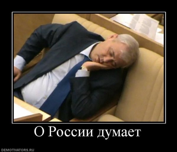 Депутаты спят в Думе