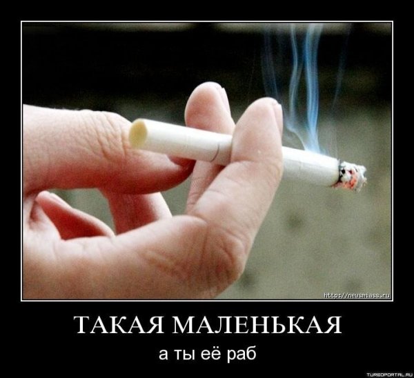 Приколы про курение