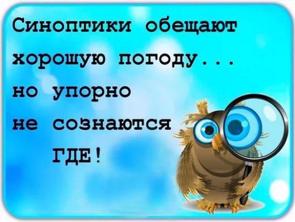 Анекдоты про погоду